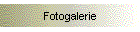 Fotogalerie